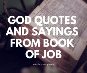 god quotes from book of job