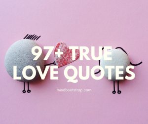 true love quotes