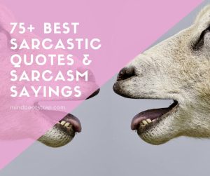 best sarcastic quotes