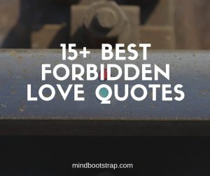 forbidden love quotes