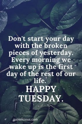 73+ Inspiring Tuesday Quotes and Sayings (With Images) - Quotelicious