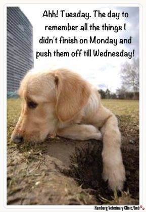 73+ Inspiring Tuesday Quotes and Sayings (With Images) - Quotelicious
