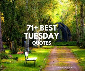 tuesday quotes