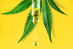 how to use cbd oil for dogs
