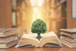 philosophy of education