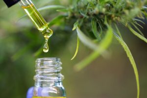 CBD Tinctures