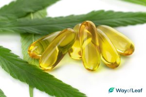 delta 8 gummies vs cbd gummies