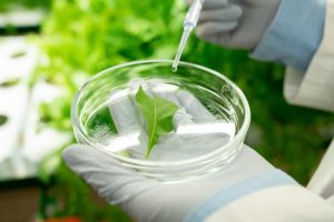 inspirational quotes from famous biologists
