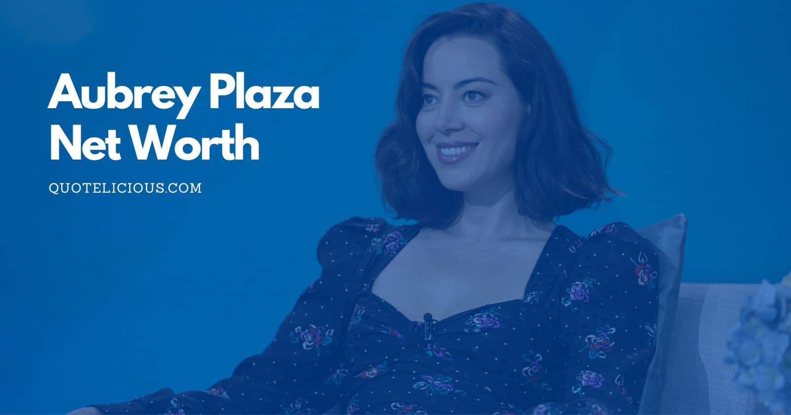aubrey plaza net worth
