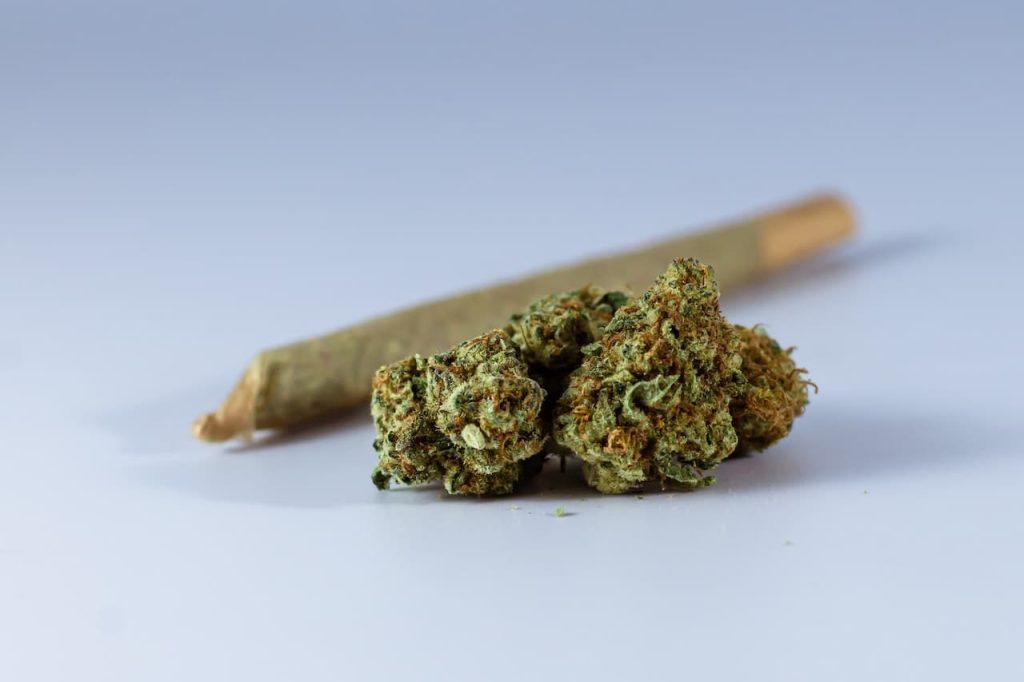 Ways To Get Premium CBD Products In Bulk 3 premium cbd products