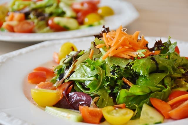 salad fresh food