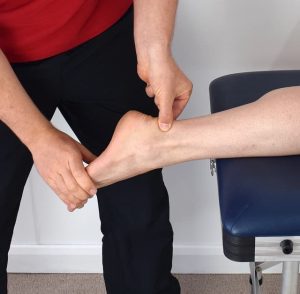 ankle calf muscle