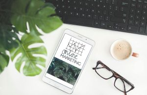cultivating loyalty advocacy for business on instagram