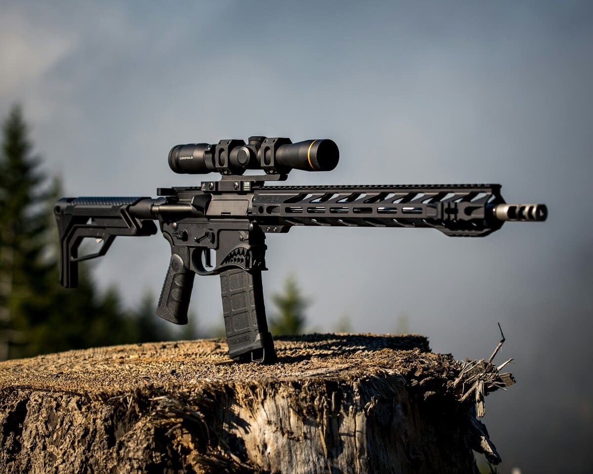 4 Facts About Guns 1 facts about guns